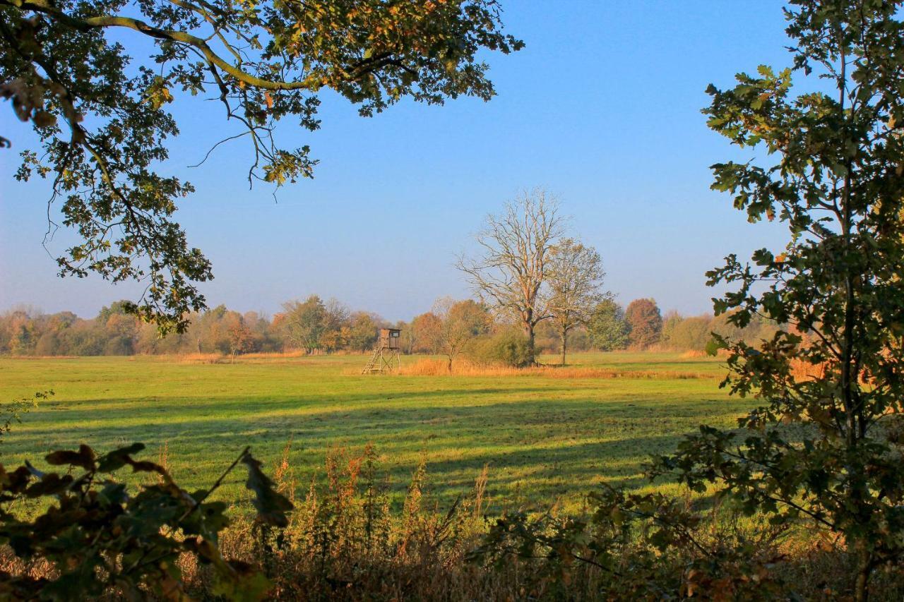 An der Hainmühle Lübben Exterior foto